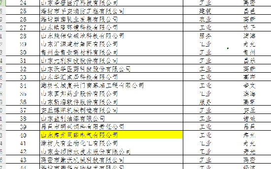 热烈祝贺电气公司荣获潍坊市“隐形冠军”荣誉称号