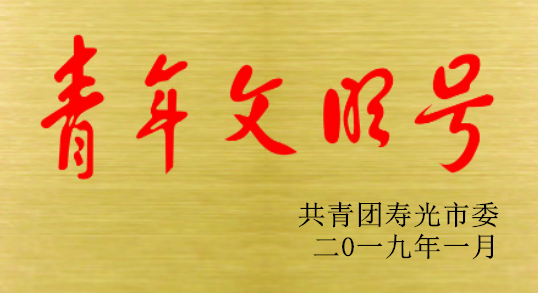 电气公司荣获青年文明号等多项荣誉