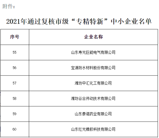 电气公司顺利通过潍坊市“专精特新”企业复审